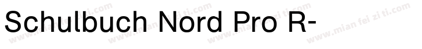Schulbuch Nord Pro R字体转换